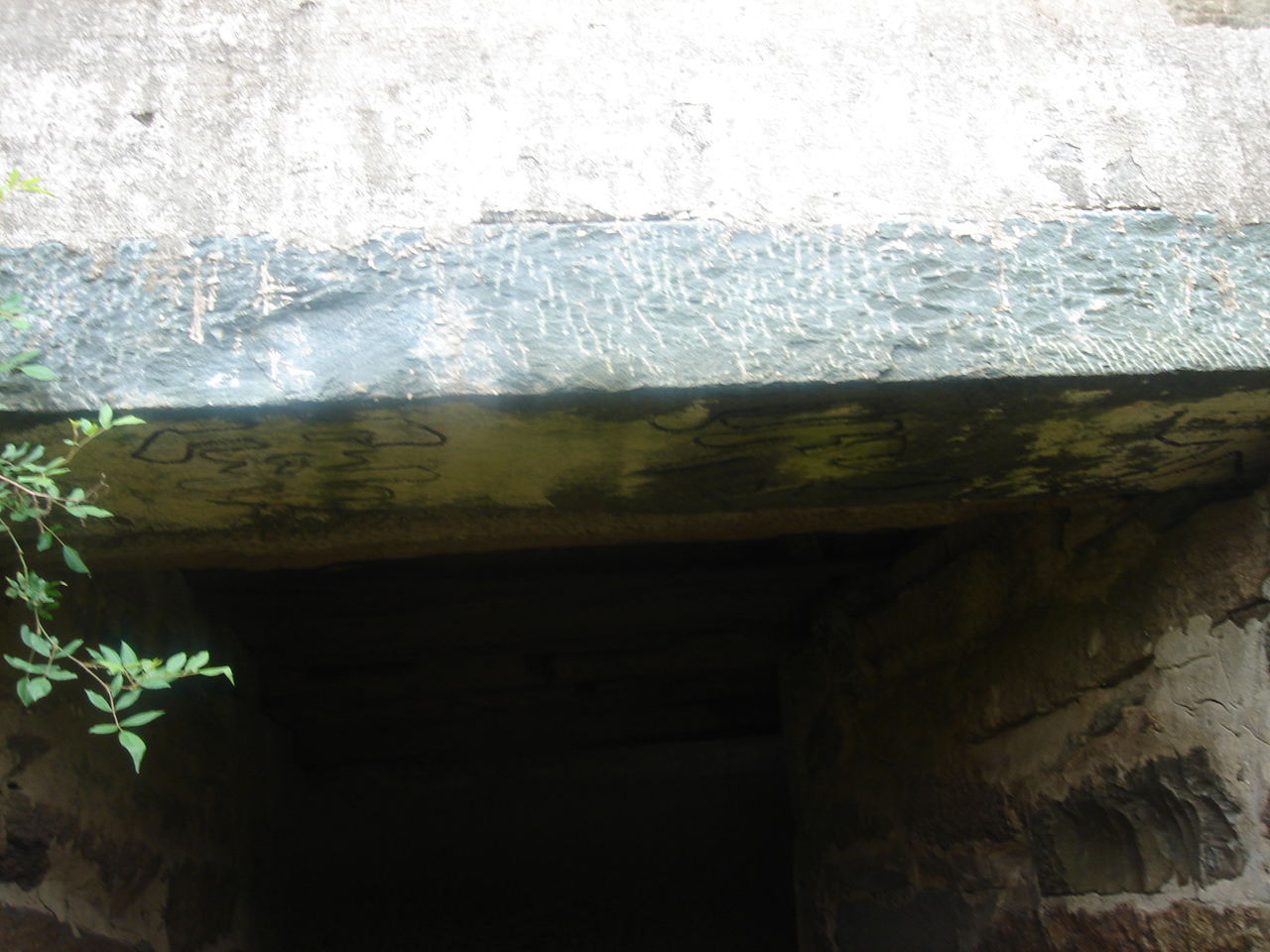 DSC05353.JPG