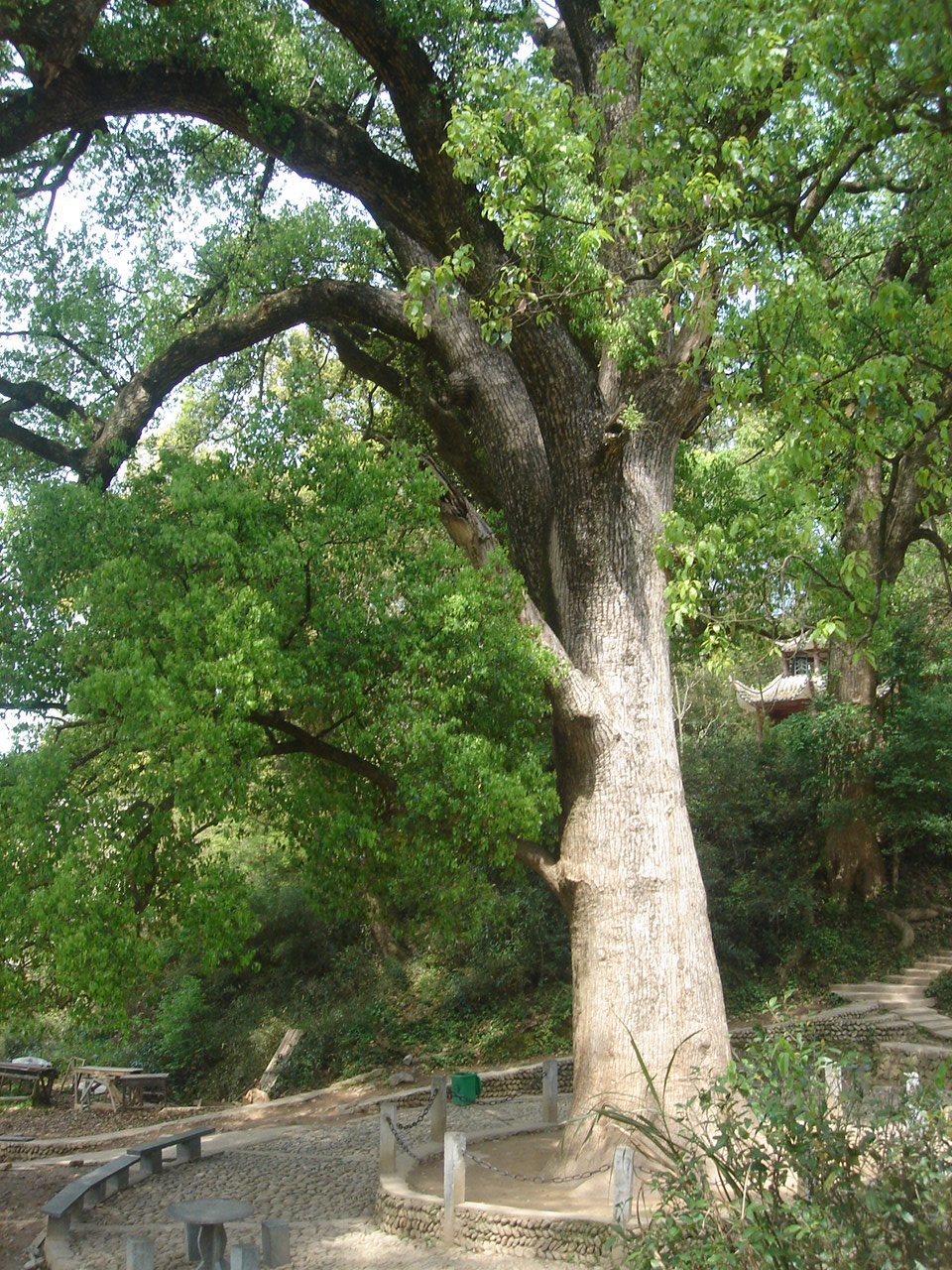 DSC05161.JPG