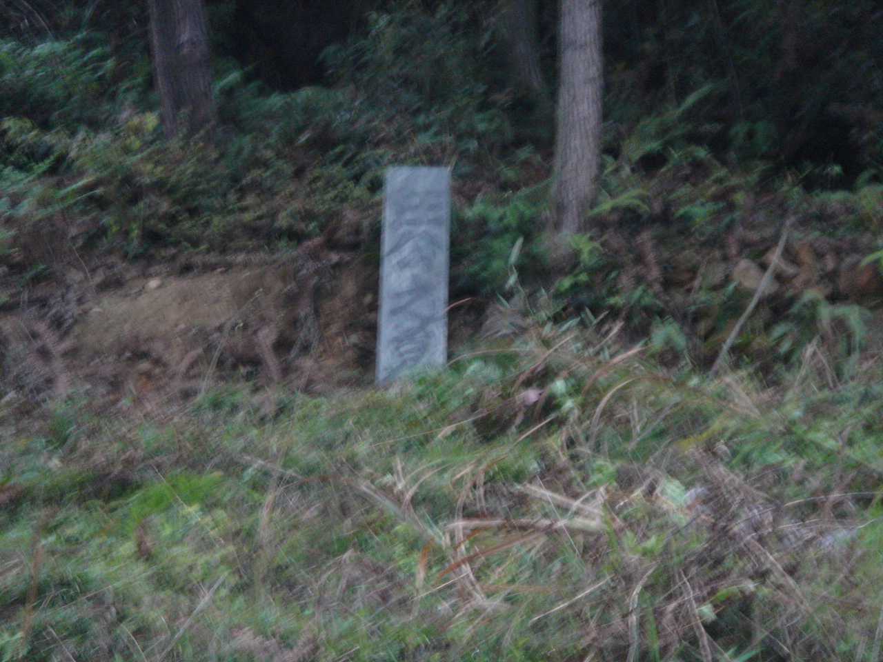 DSC05290.JPG