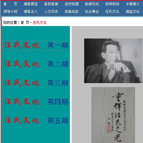 漳县汪氏.JPG