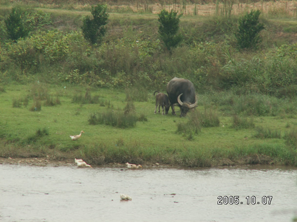 PICT0006.JPG