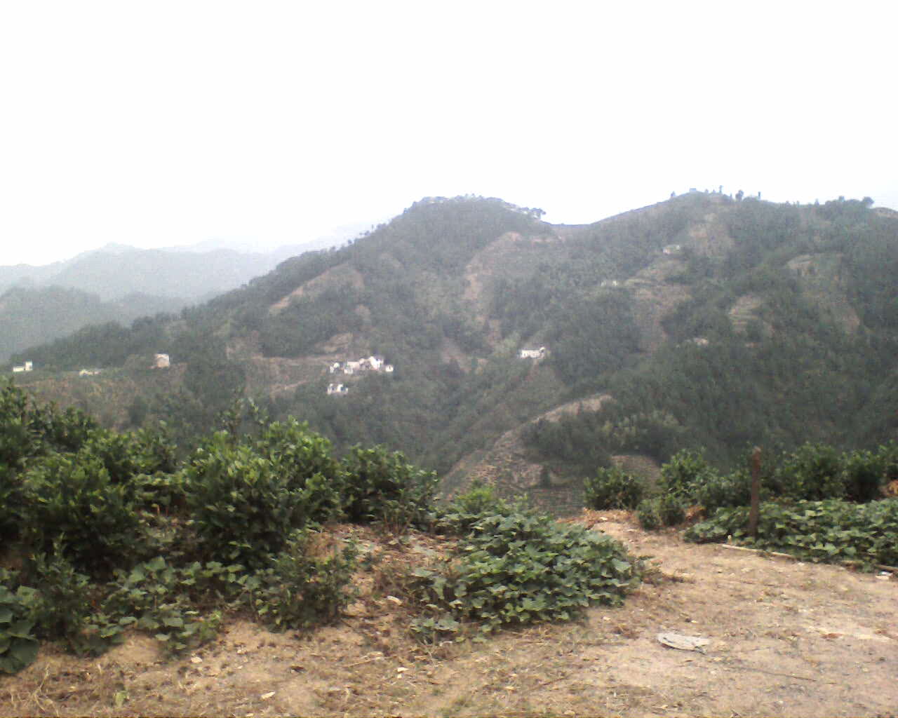 03153300.JPG