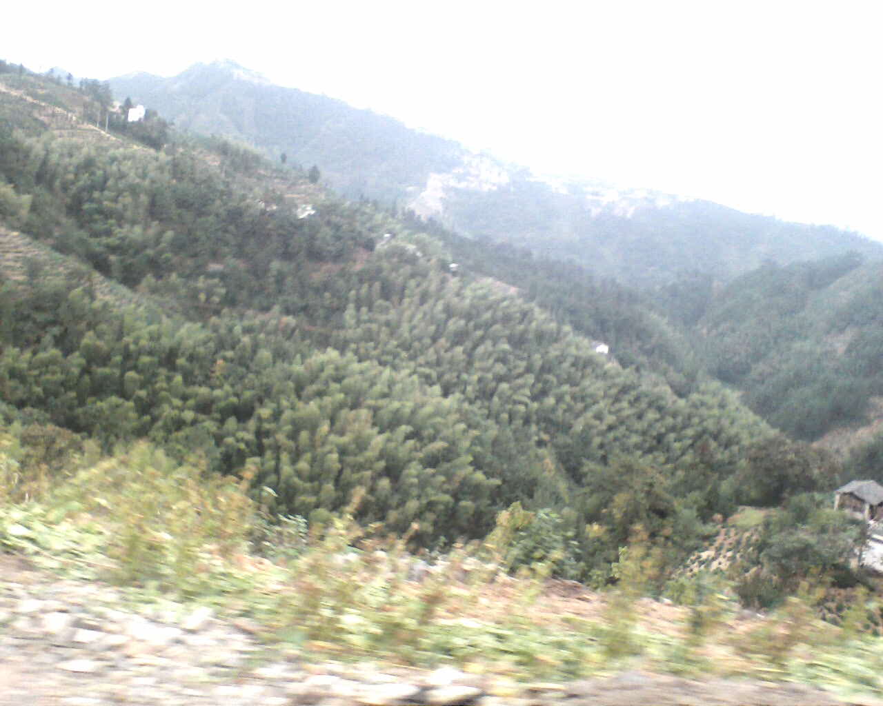 03153500.JPG
