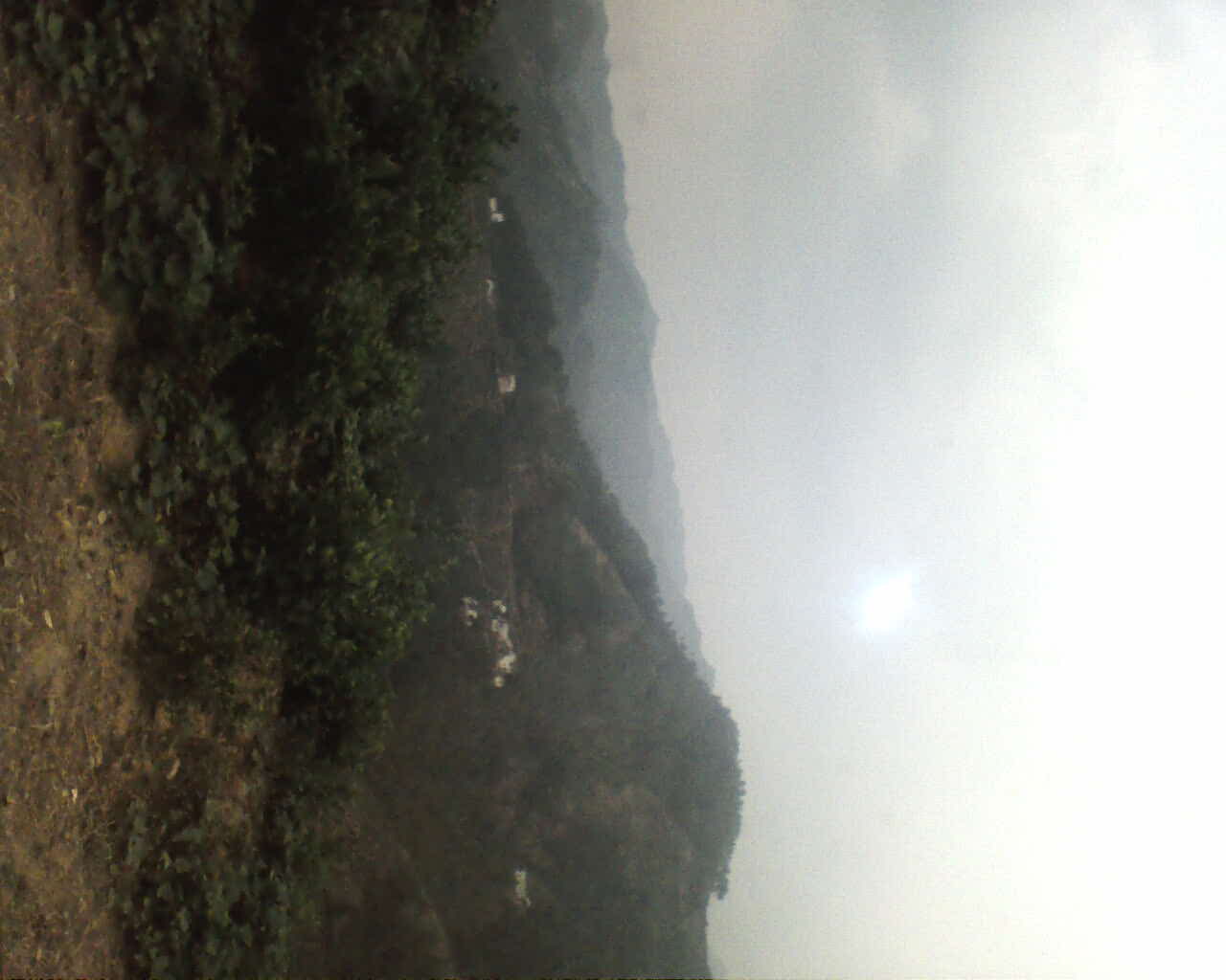 03153202.JPG