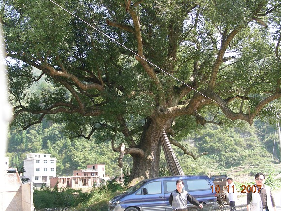 DSCN2031.jpg