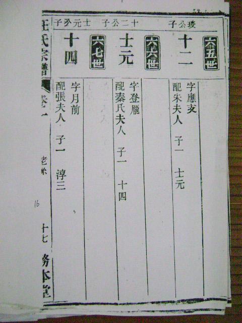 DSC00546.JPG