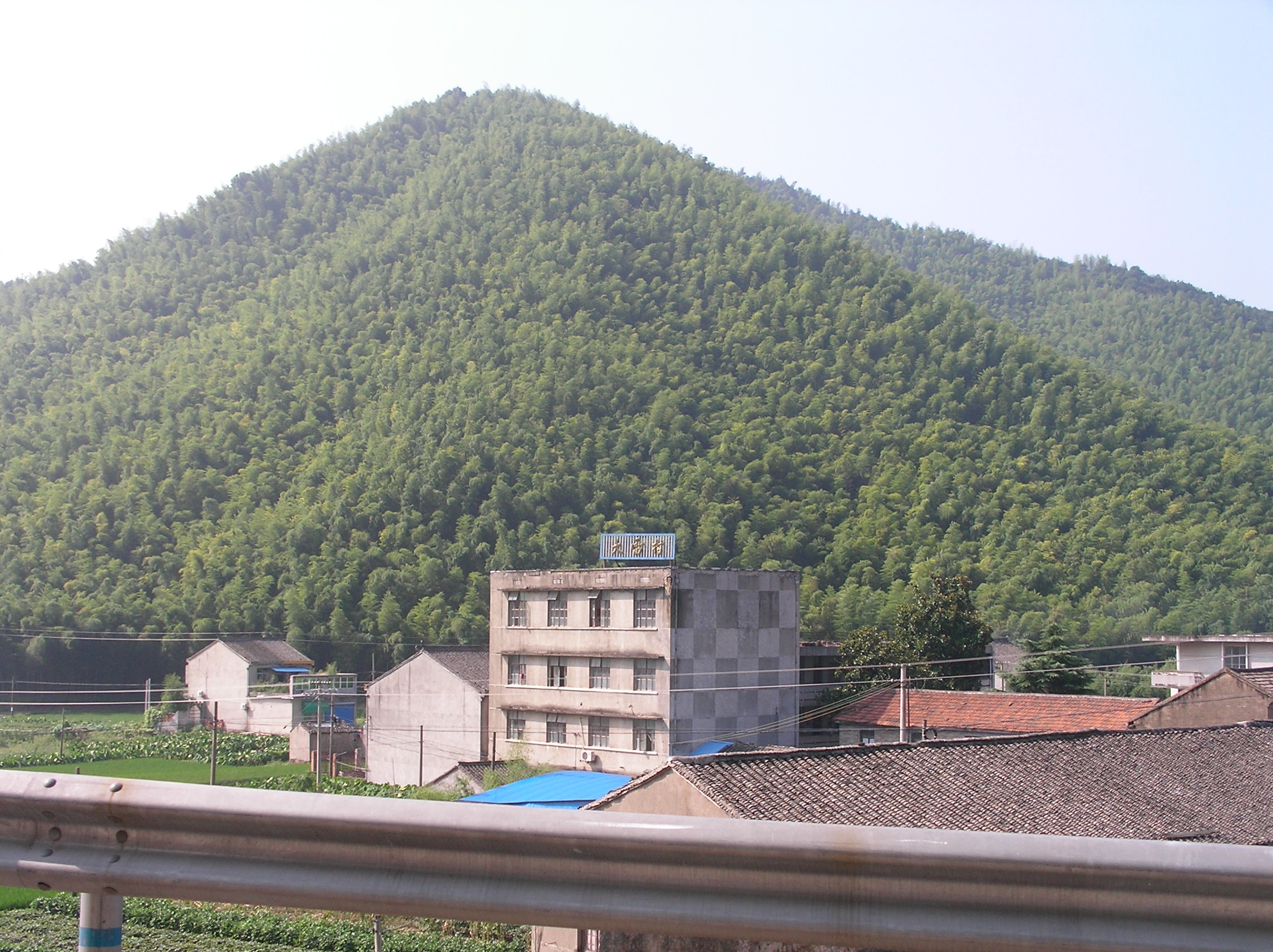 SANY0031.JPG