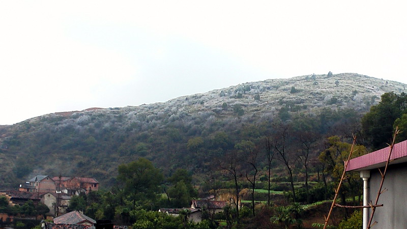 IMGA0091.JPG