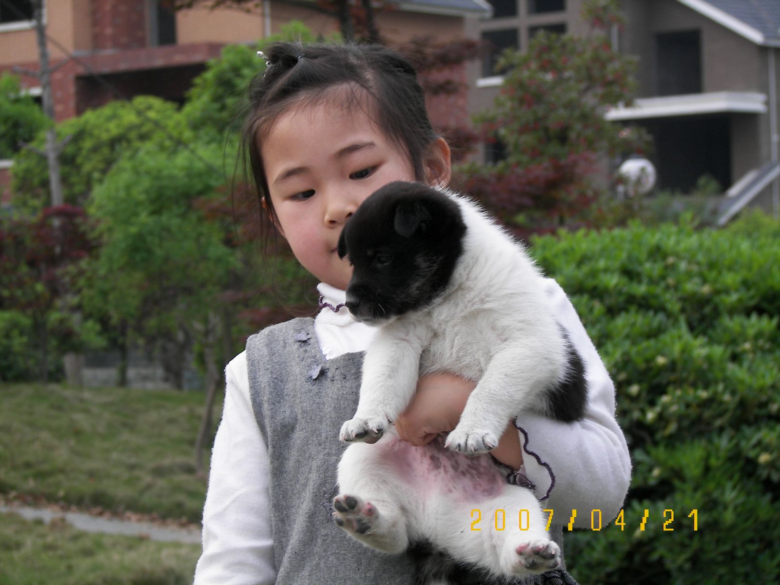 照片2 005.jpg