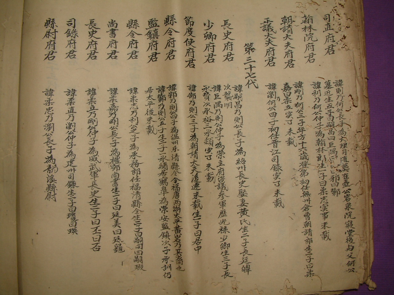 DSCF0029.JPG