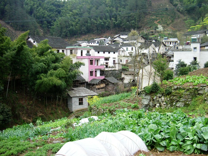村子一隅