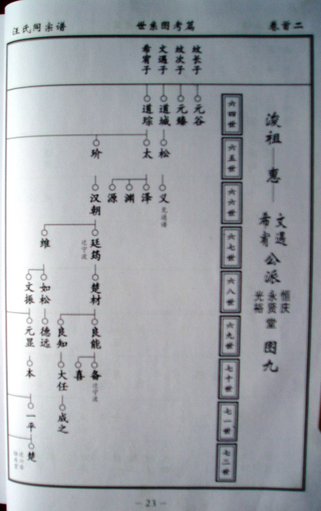 汪氏家族谱图片