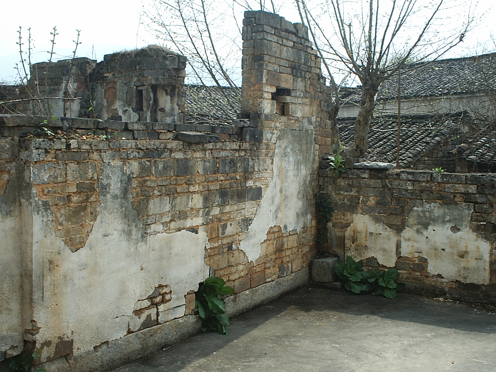 孙村——祠堂残垣1.JPG