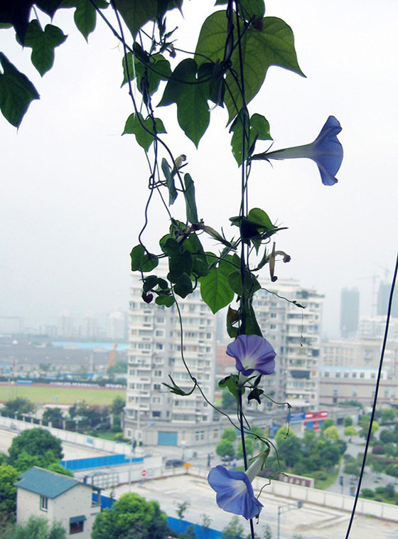 IMG_0016 副本.jpg