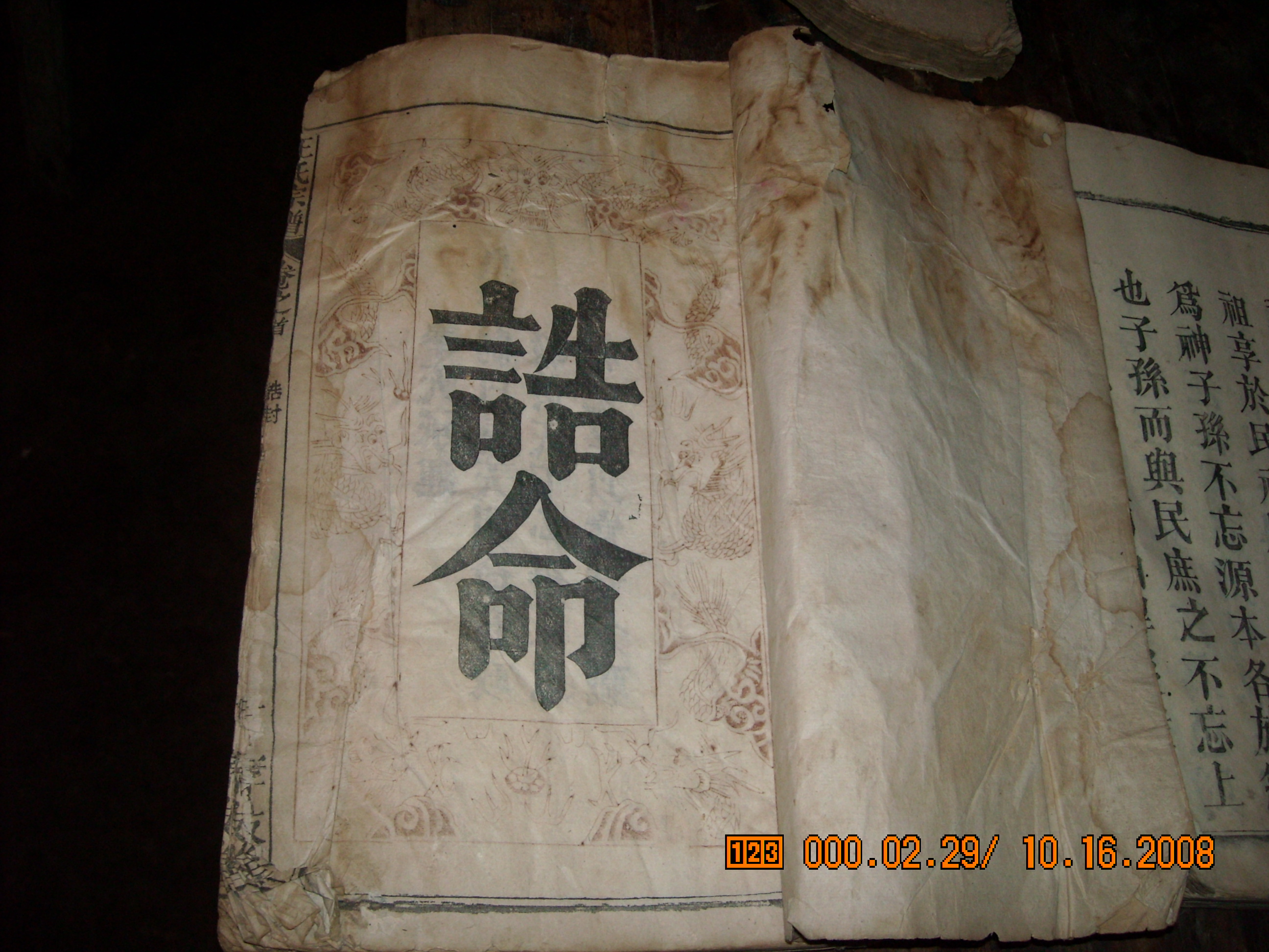 DSCN0007.JPG