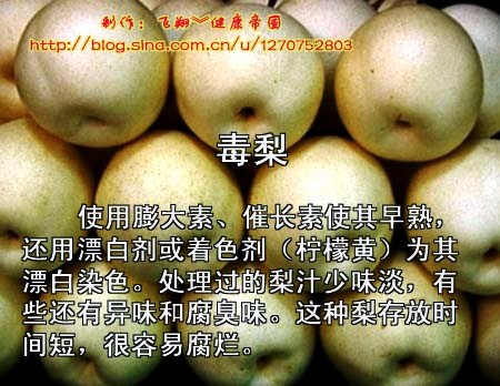 毒水果１４.jpg