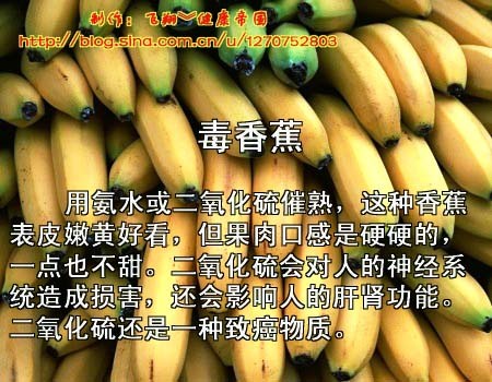 毒水果１０.jpg