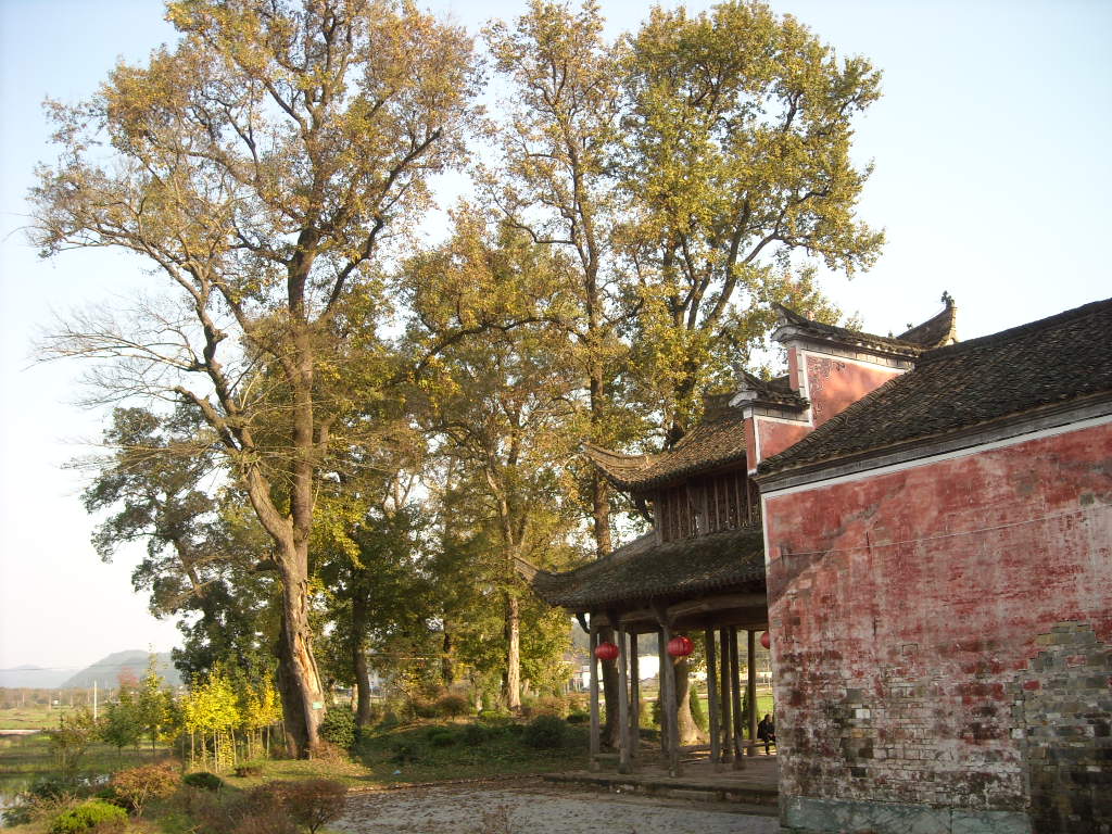 DSCN0506.JPG