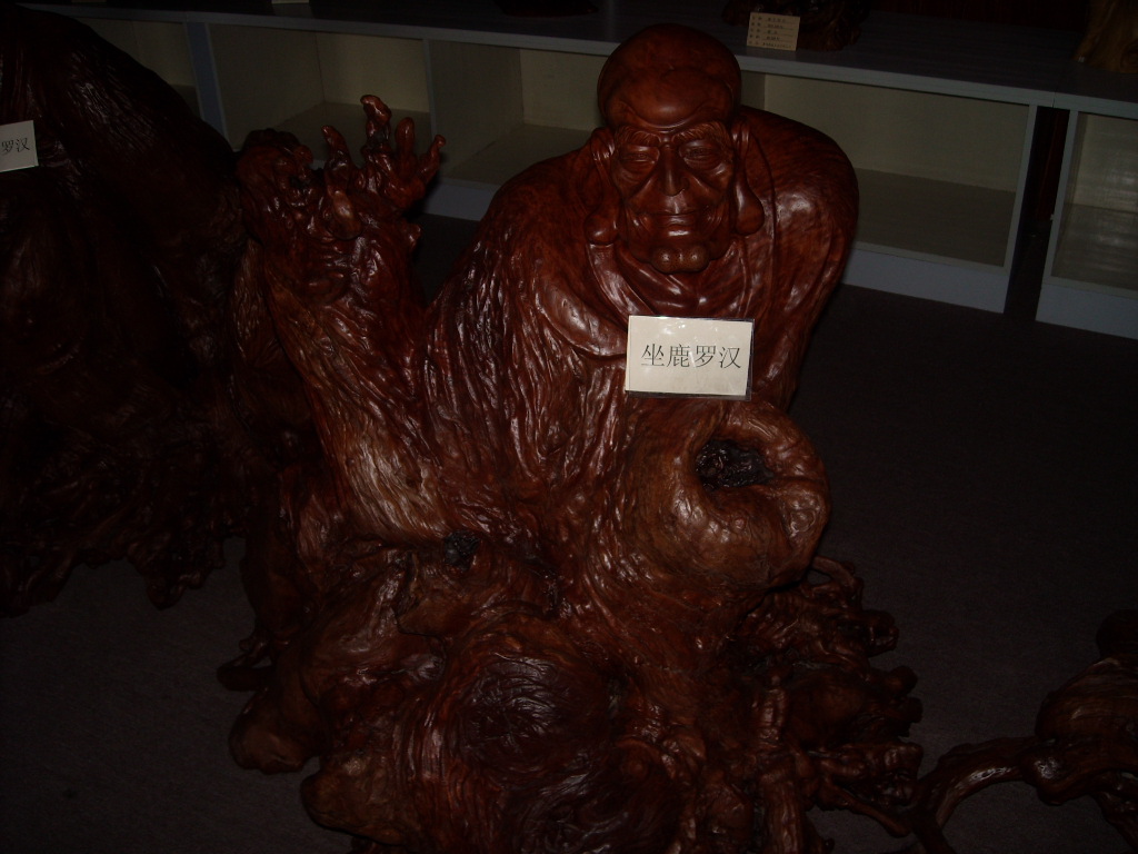 DSCN0349.JPG