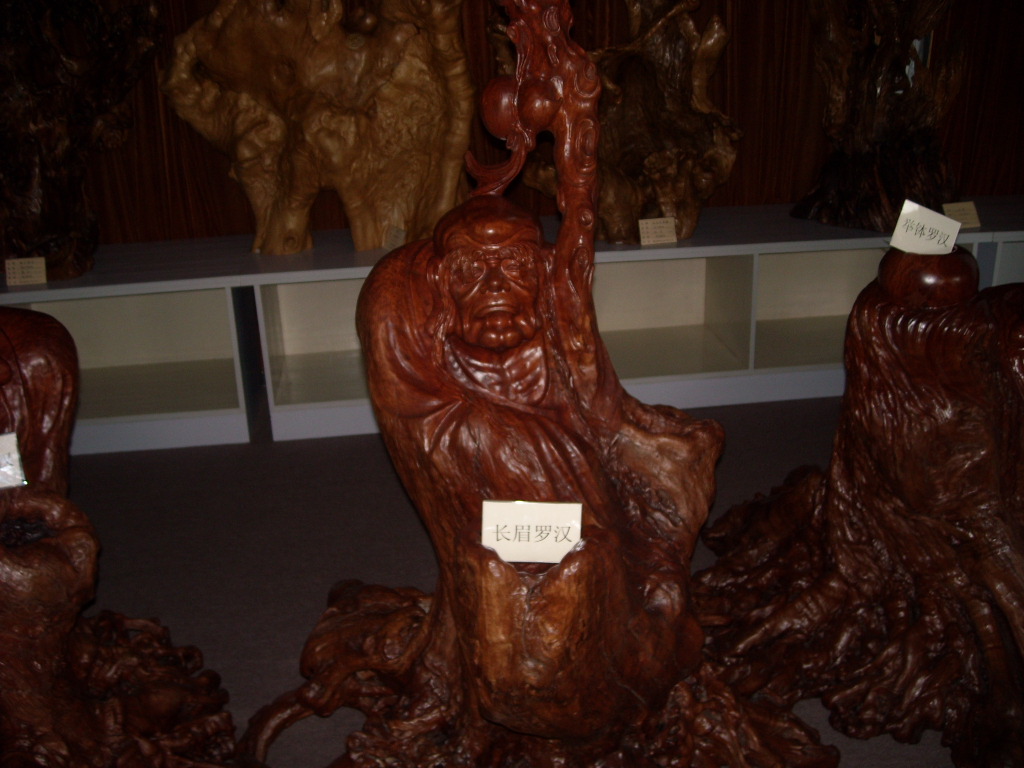 DSCN0350.JPG