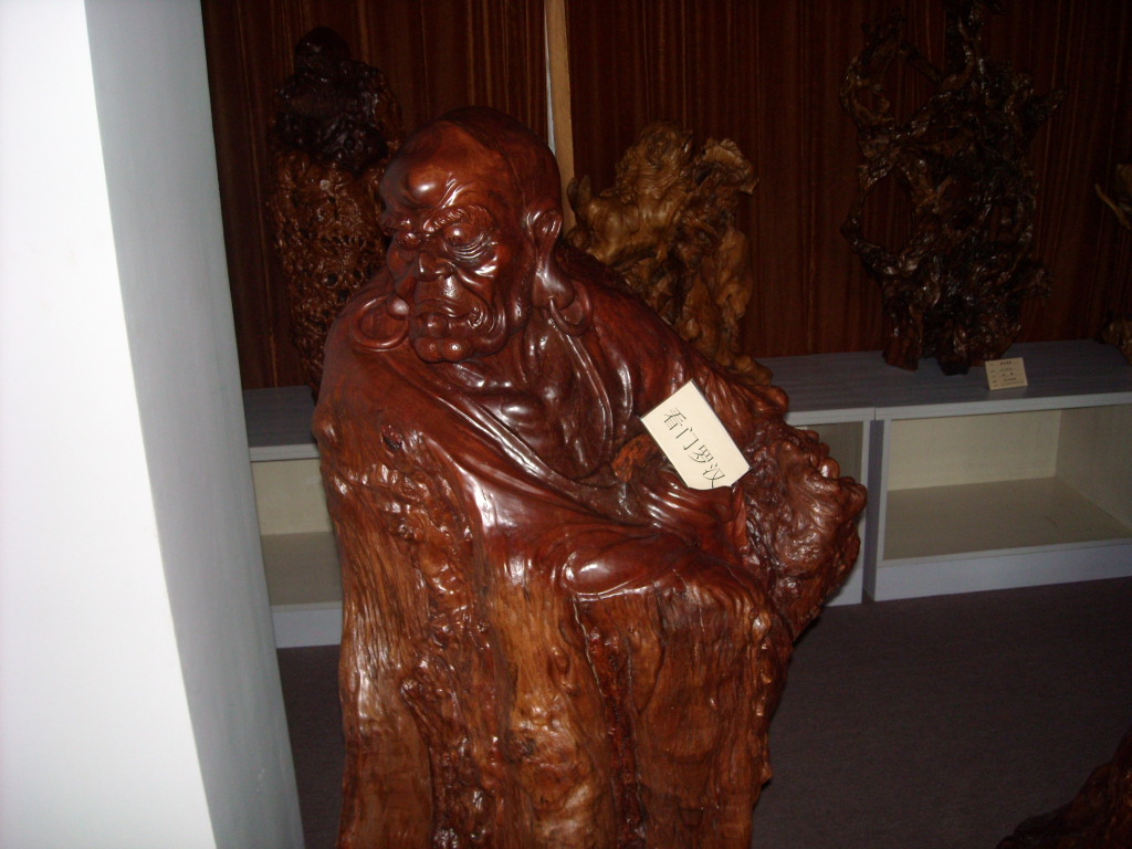 DSCN0340.JPG