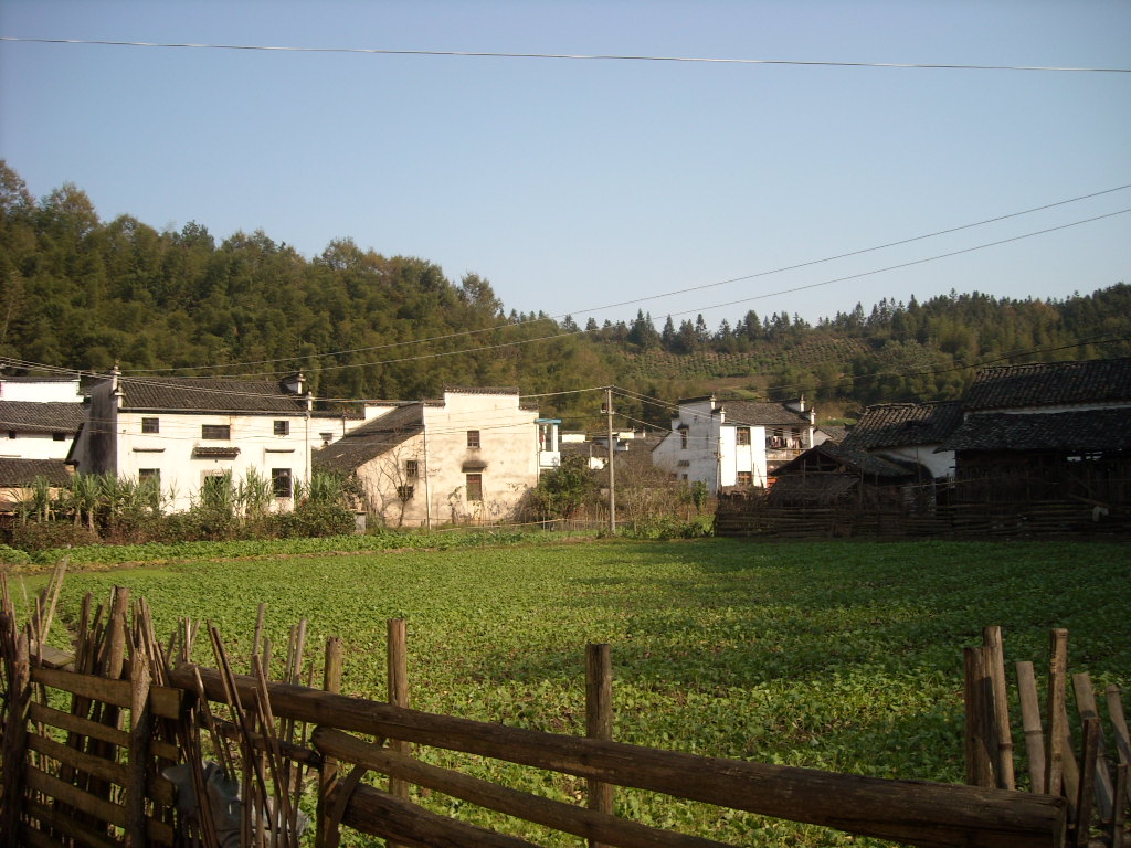 旌城村之一