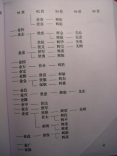 DSC00266.jpg