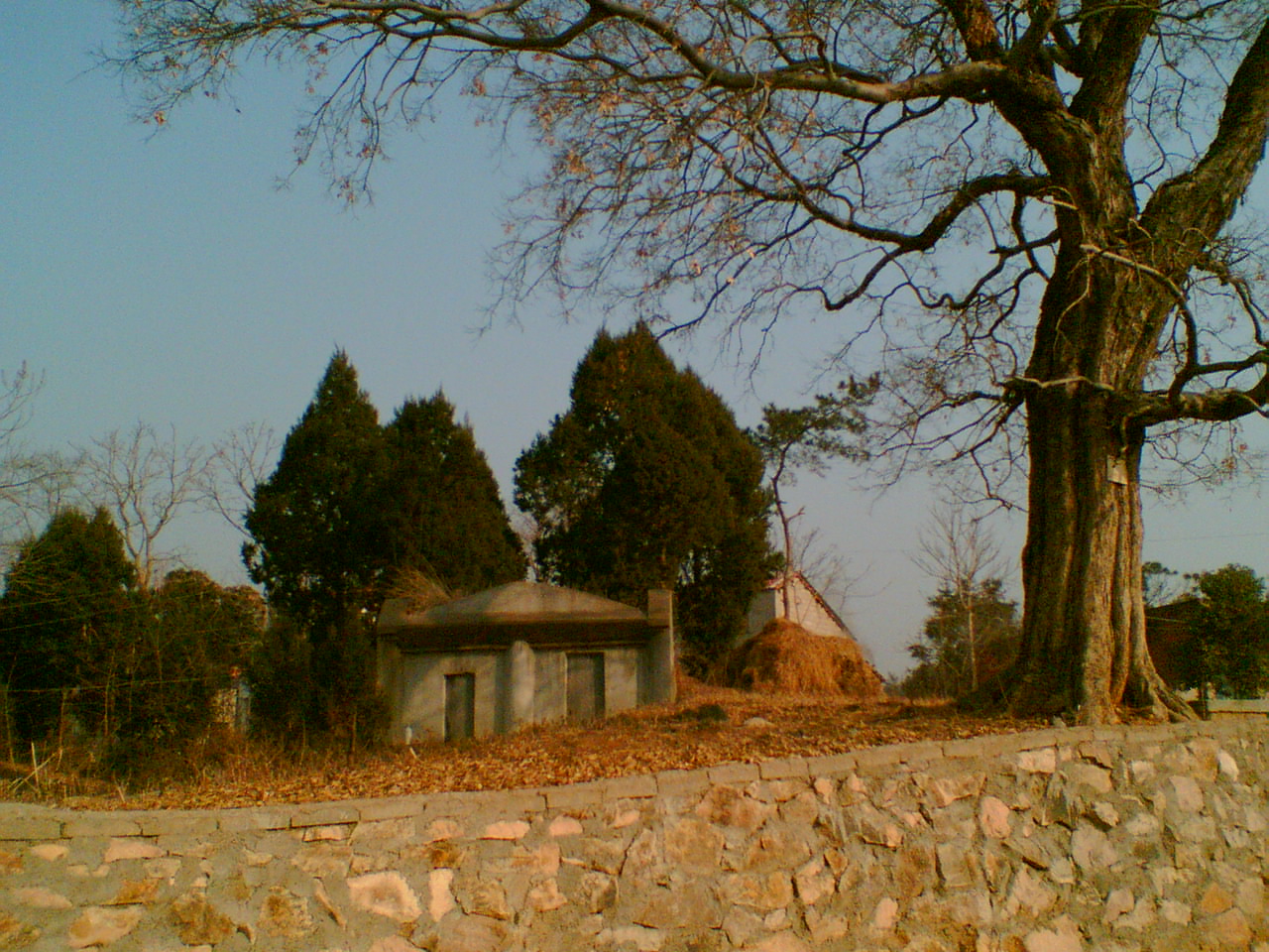 金公墓1.jpg