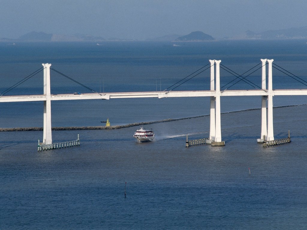 d10.jpg