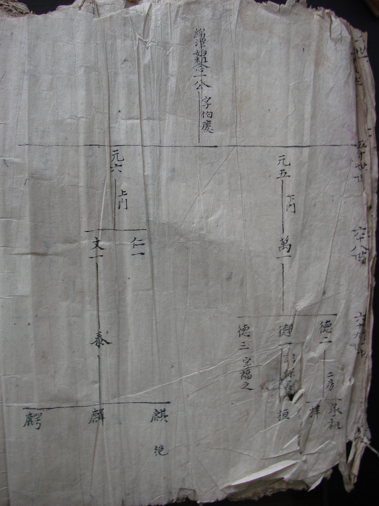 旋转 DSC03939.JPG