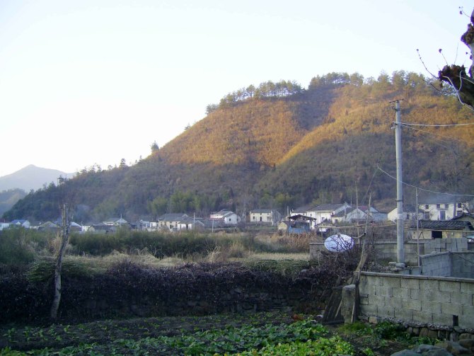 汪村的全景