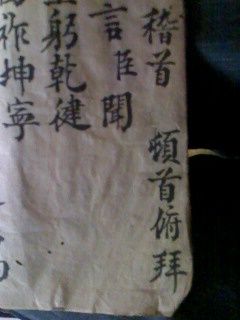 IMG0462A.jpg