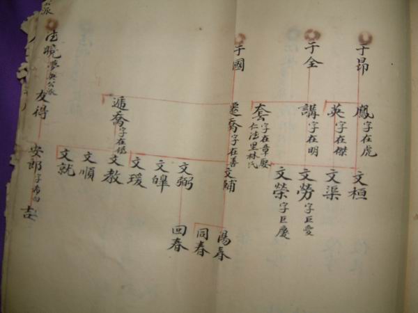 調整大小DSCF0124.JPG