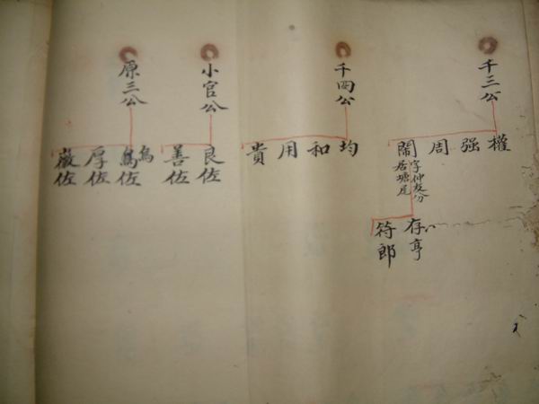 調整大小DSCF0103.JPG