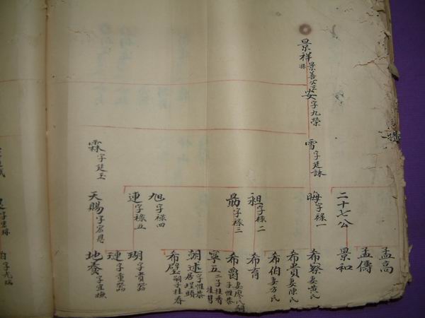 調整大小DSCF0133.JPG