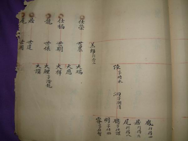 調整大小DSCF0126.JPG