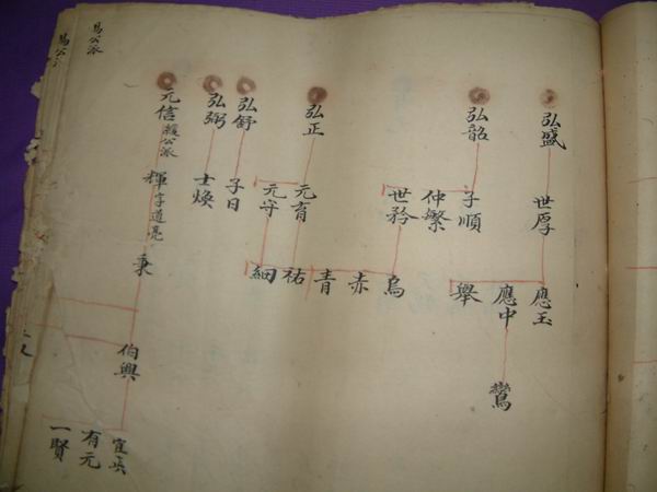 調整大小DSCF0100.JPG