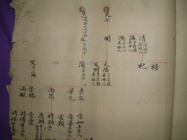 調整大小DSCF0142.JPG