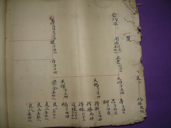 調整大小DSCF0139.JPG