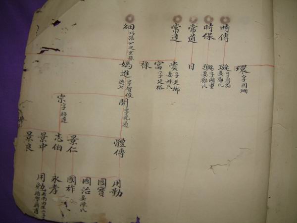 調整大小DSCF0144.JPG