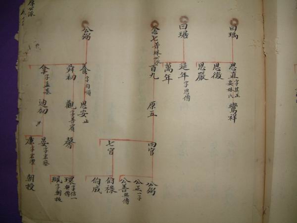 調整大小DSCF0086.JPG