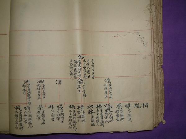 調整大小DSCF0062.JPG