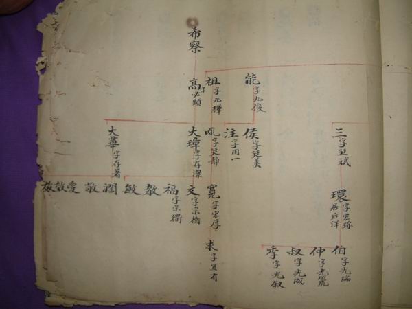 調整大小DSCF0134.JPG
