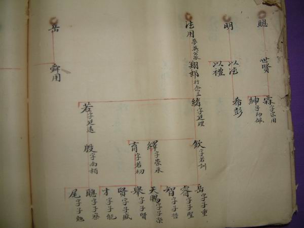 調整大小DSCF0127.JPG