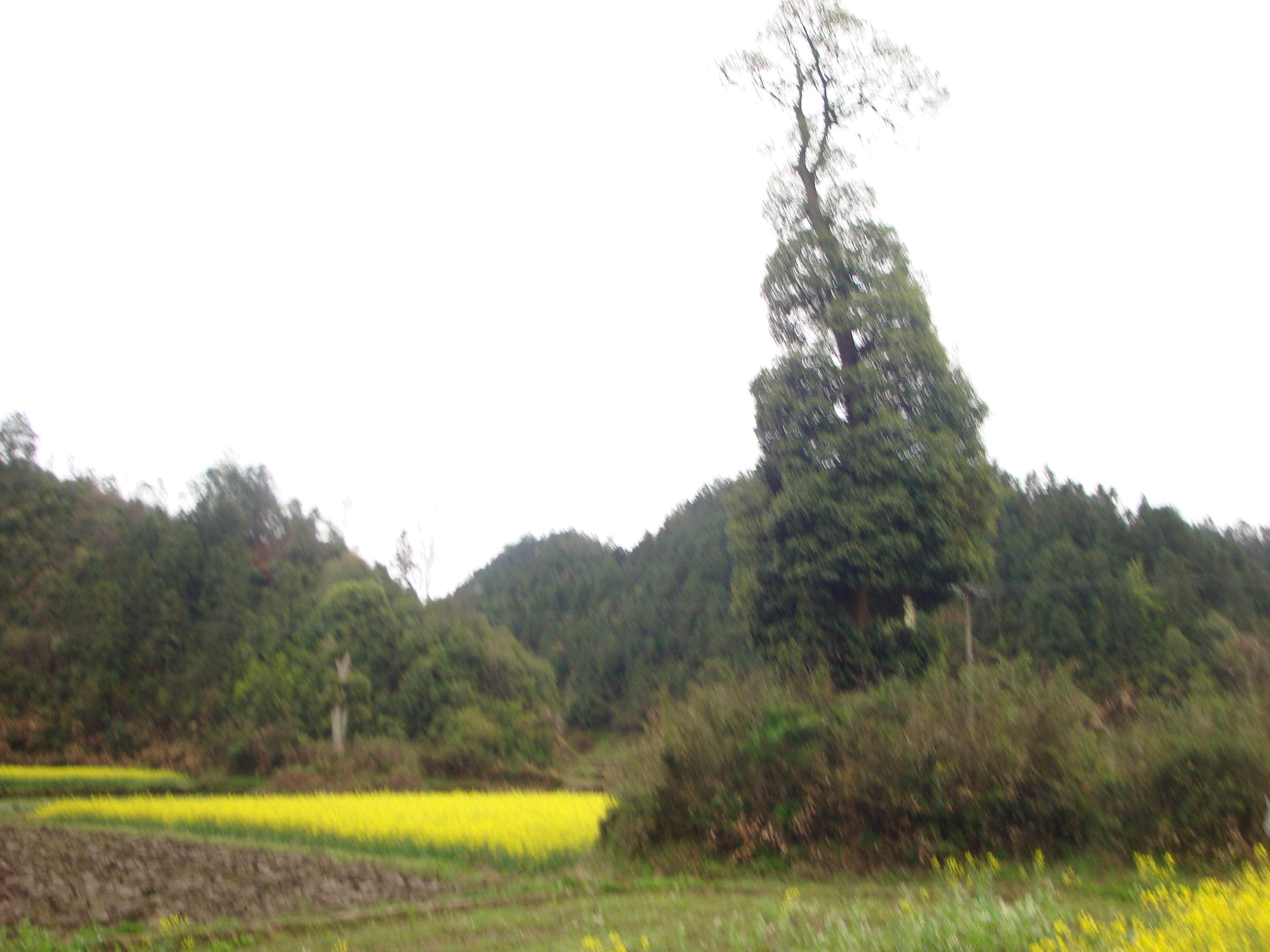 20村基.jpg