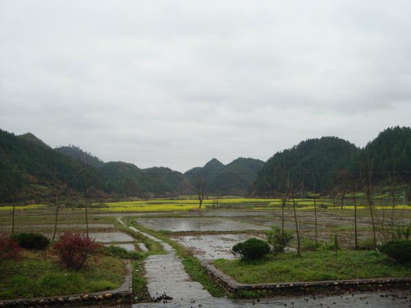 6_82_8fa622f7f1fc412.jpg