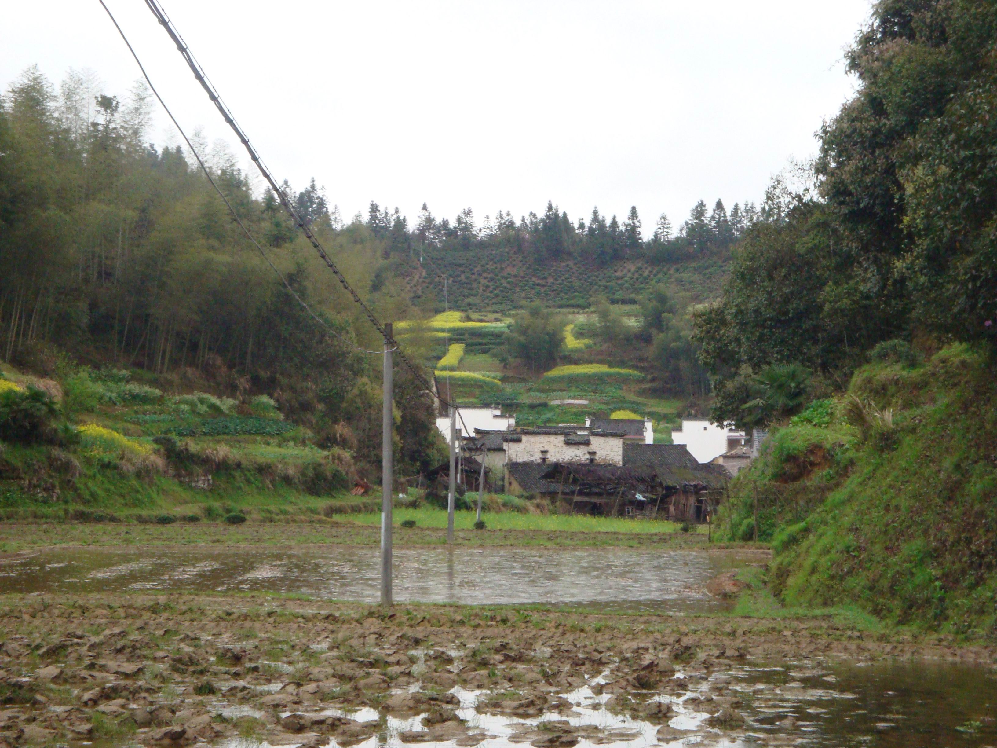 38村后.jpg