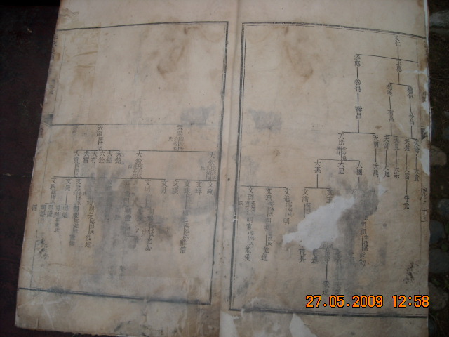 DSCN0593.JPG