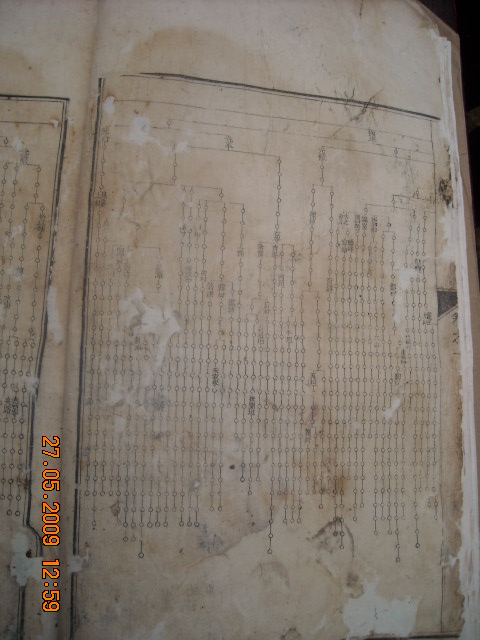 DSCN0599.JPG