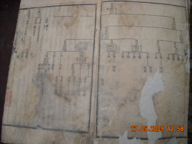 DSCN0595.JPG